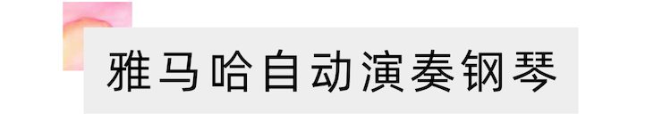 活动报道 | “科技助力，跨越时空”，小鹿纯子携手刘明康共享中日音乐盛宴